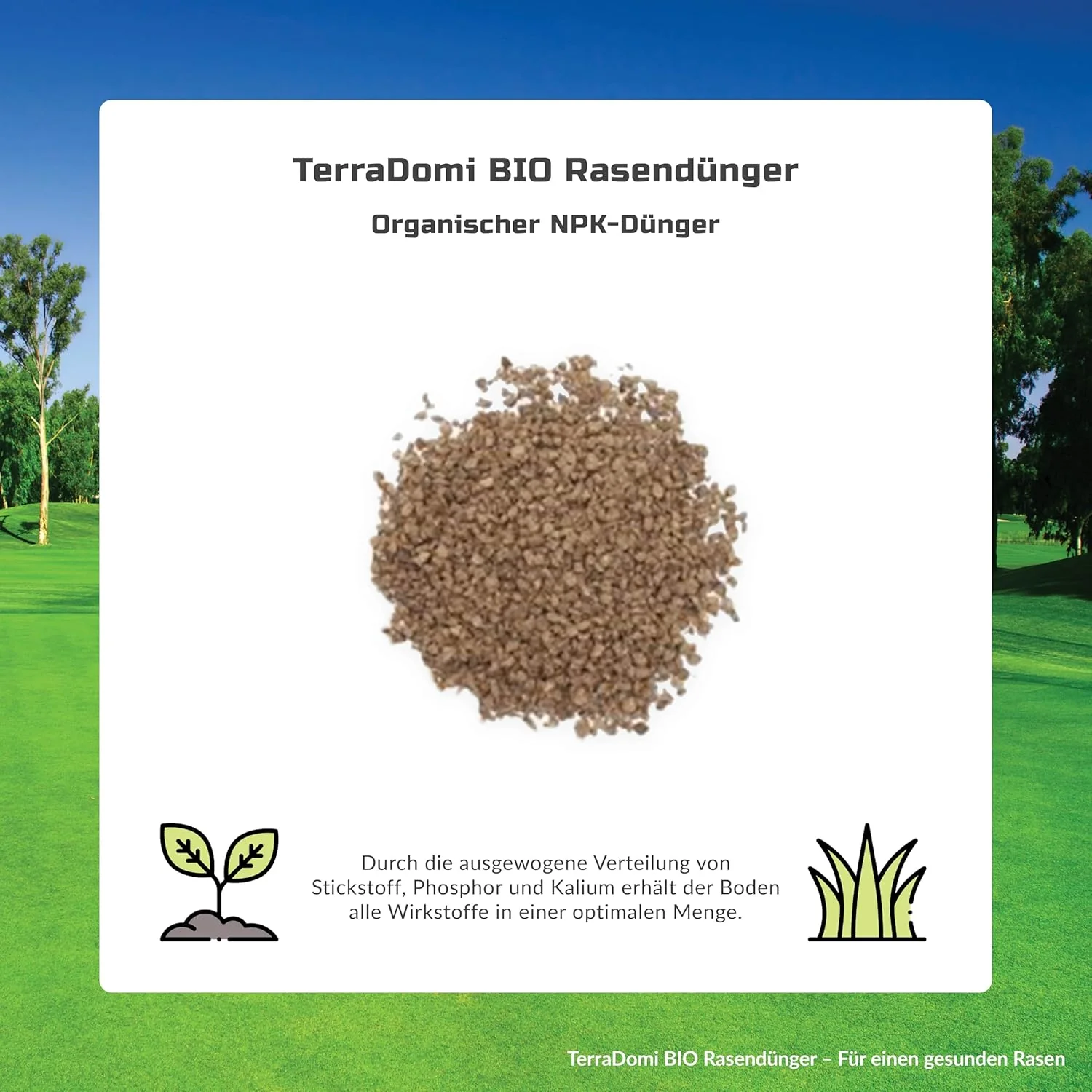 TerraDomi Bio Rasendünger Frühjahr & Sommer 20kg - Image 2